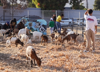 Discover the Heritage Valley